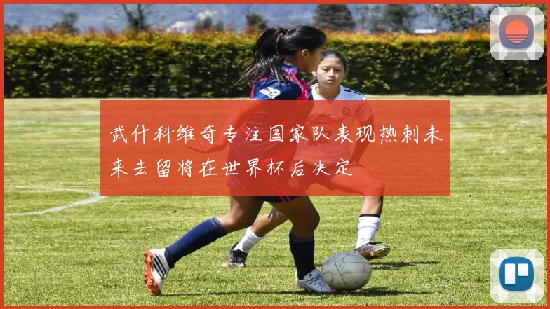 武什科维奇专注国家队表现热刺未来去留将在世界杯后决定