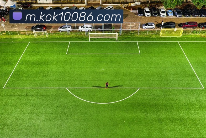 KOK体育发展历程