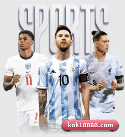 五大服务分区,信息按项目分类